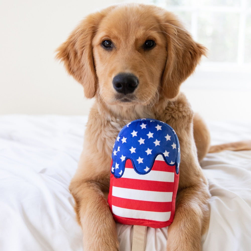 Star Pop Dog Toy - 30% Off