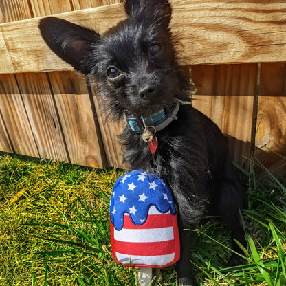 Star Pop Dog Toy - 30% Off