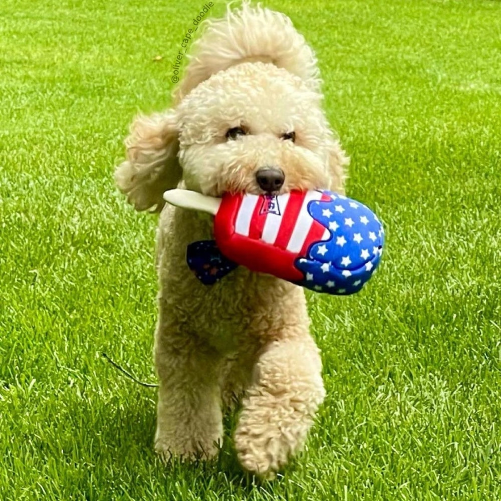 Star Pop Dog Toy - 30% Off