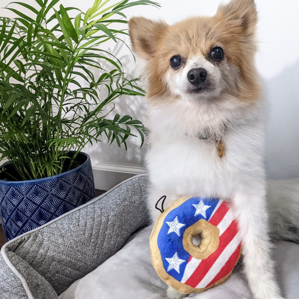 Stars & Stripes Donut Dog Toy