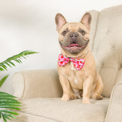 Strawberries Bow Tie