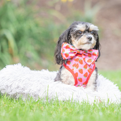Strawberries Bow Tie