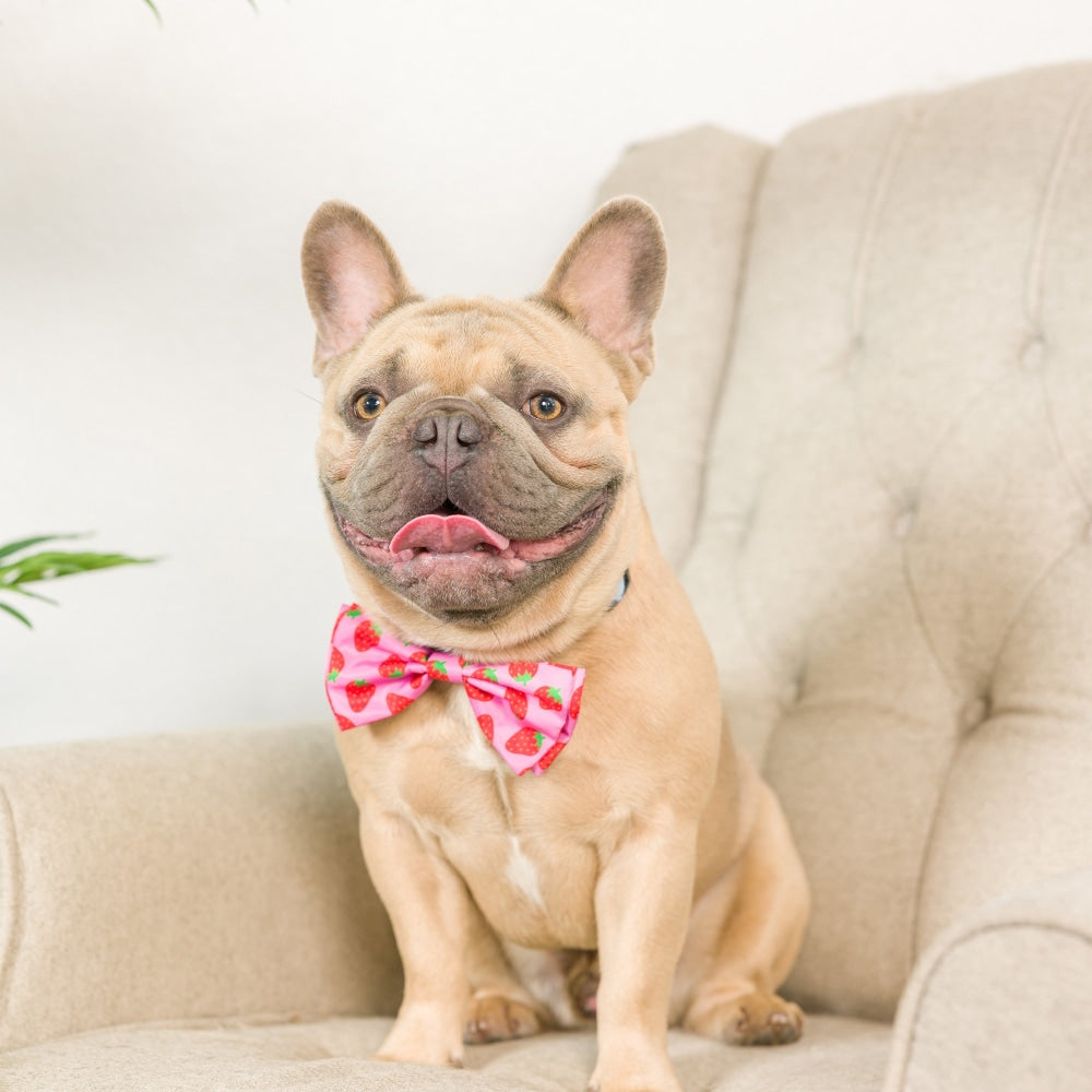 Strawberries Bow Tie