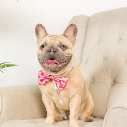 Strawberries Bow Tie