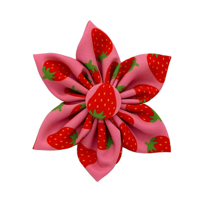 Strawberries Pinwheel
