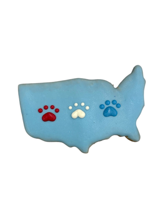 Patriotic Cookies - Party in the USA!- Tray of 10