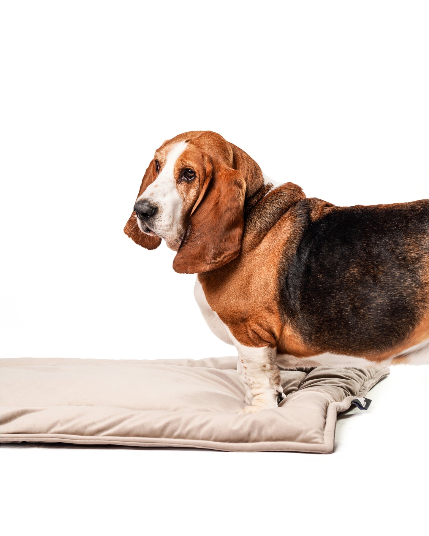 The Melrose Mat