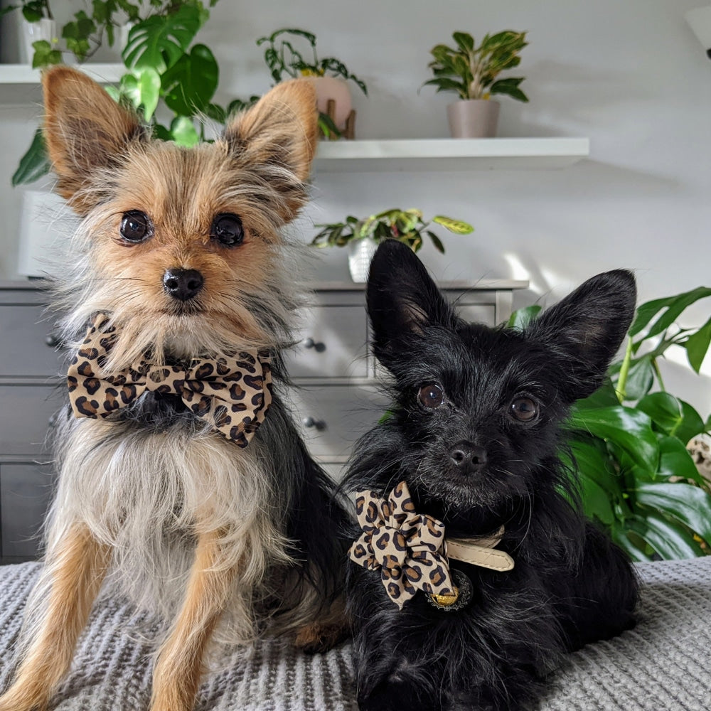 Tan Leopard Pinwheel - 30% Off