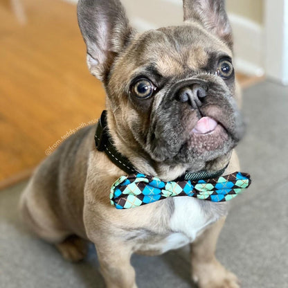 Teal Argyle Bow Tie