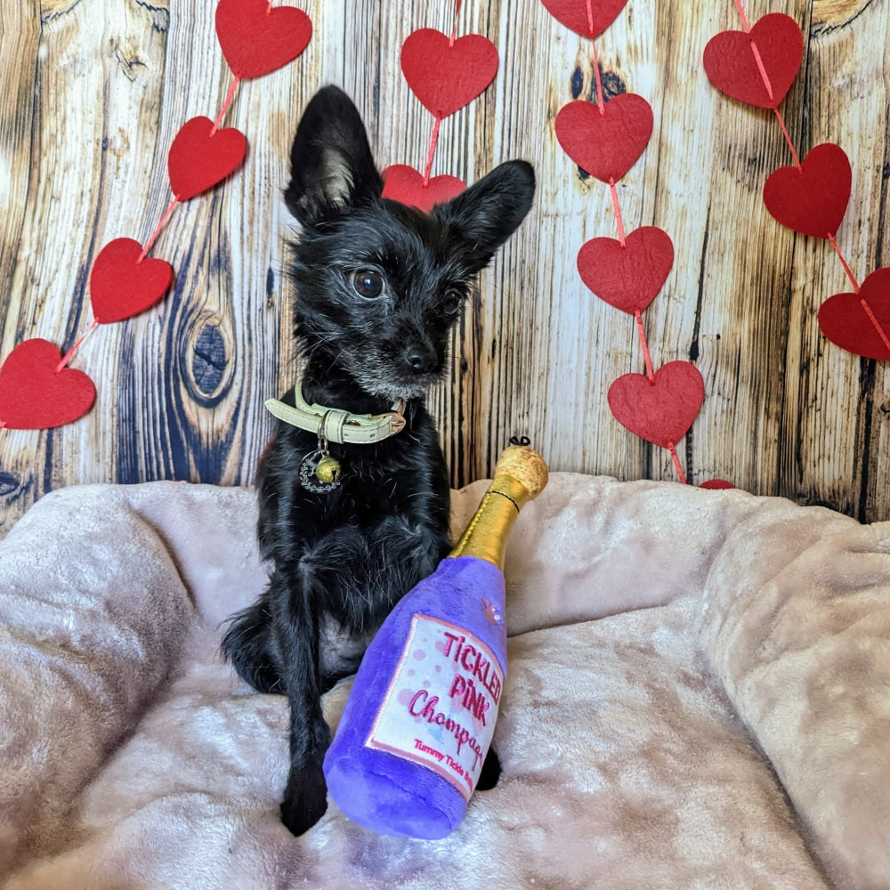 Tickled Pink Chompagne Dog Toy - 30% Off