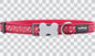 Buckle Bone Dog Collars - Design - Flying Bones
