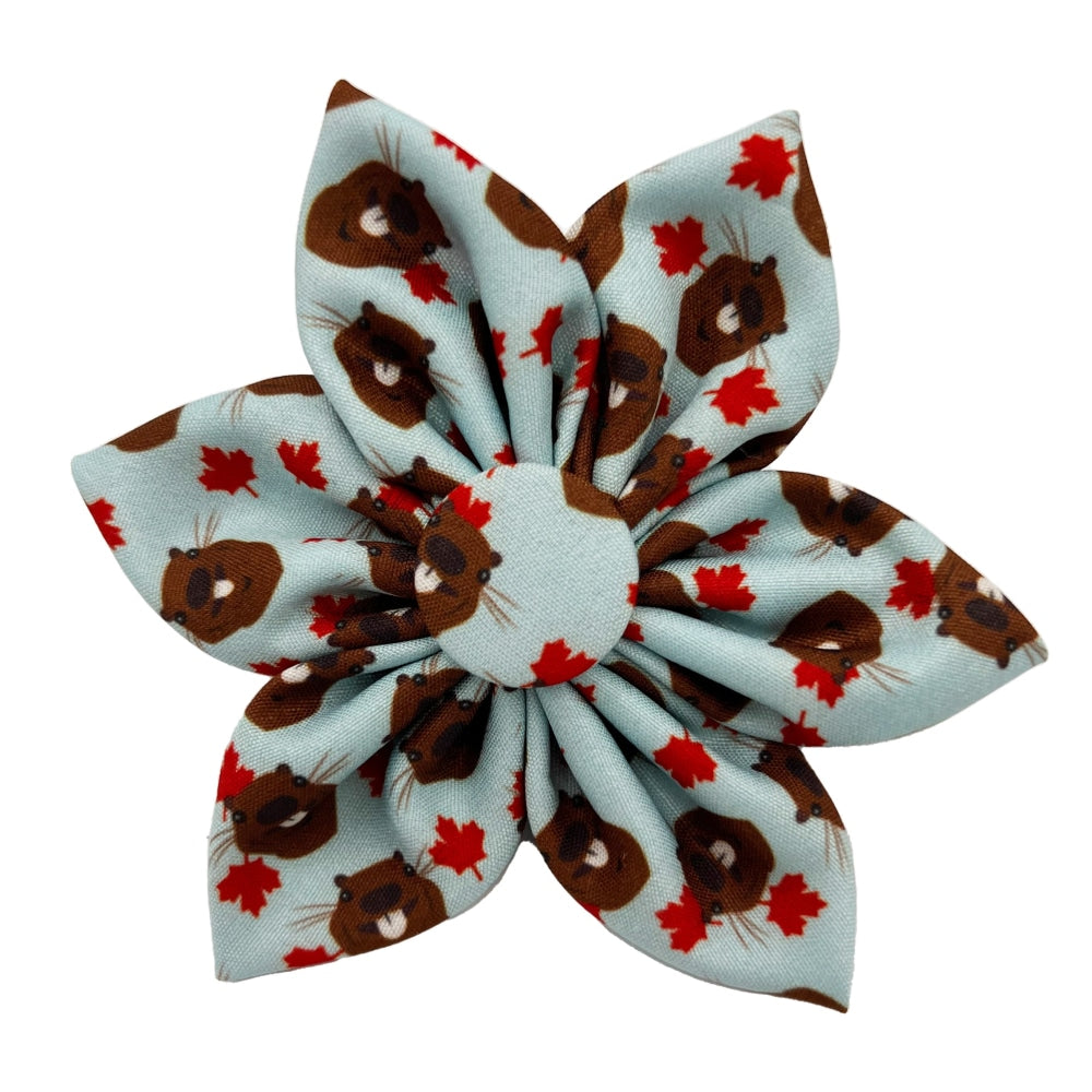 Tossed Beaver With Leaf Pinwheel - 30% Off