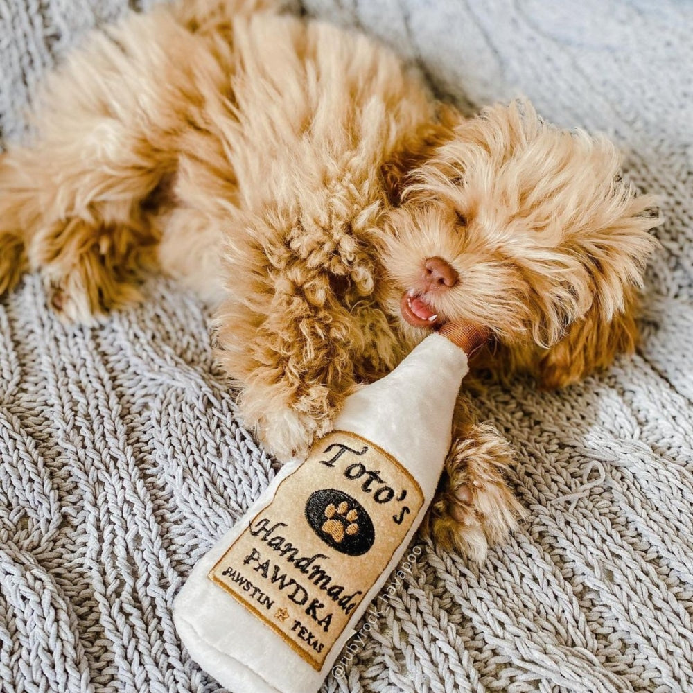 Toto’s Pawdka Dog Toy
