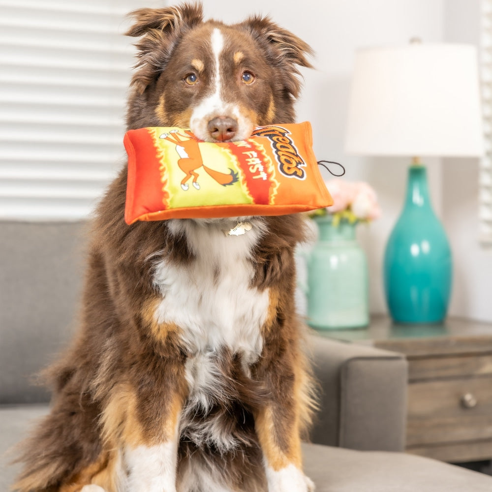 Treatos Dog Toy (Double Sided)