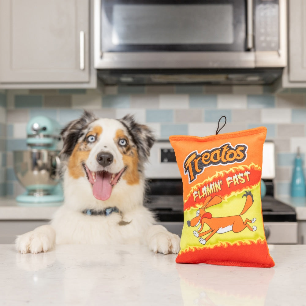 Treatos Dog Toy (Double Sided)