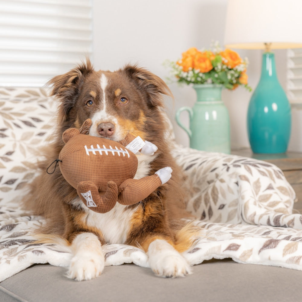 Turkey Bowl Dog Toy