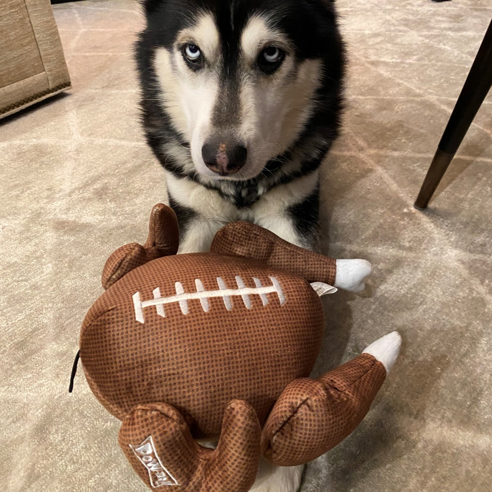 Turkey Bowl Dog Toy