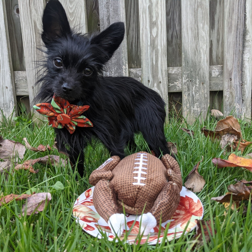 Turkey Bowl Dog Toy