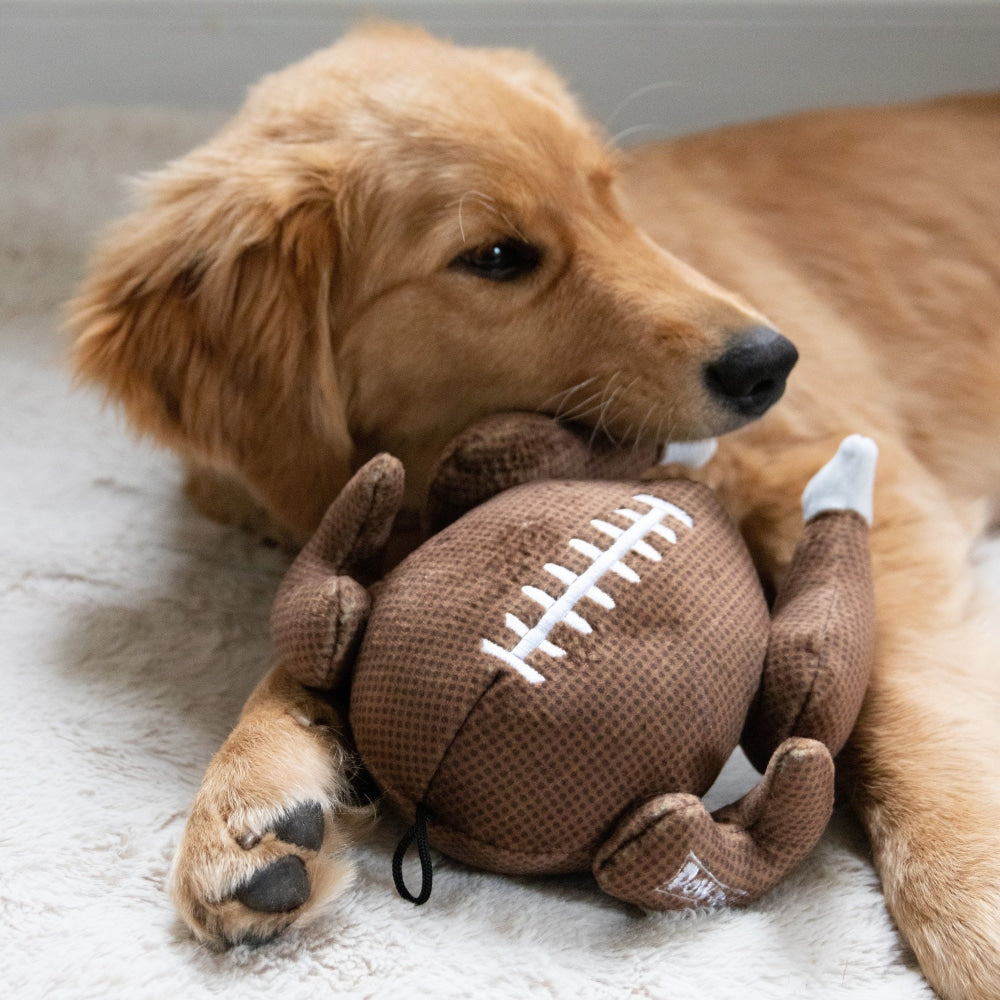 Turkey Bowl Dog Toy