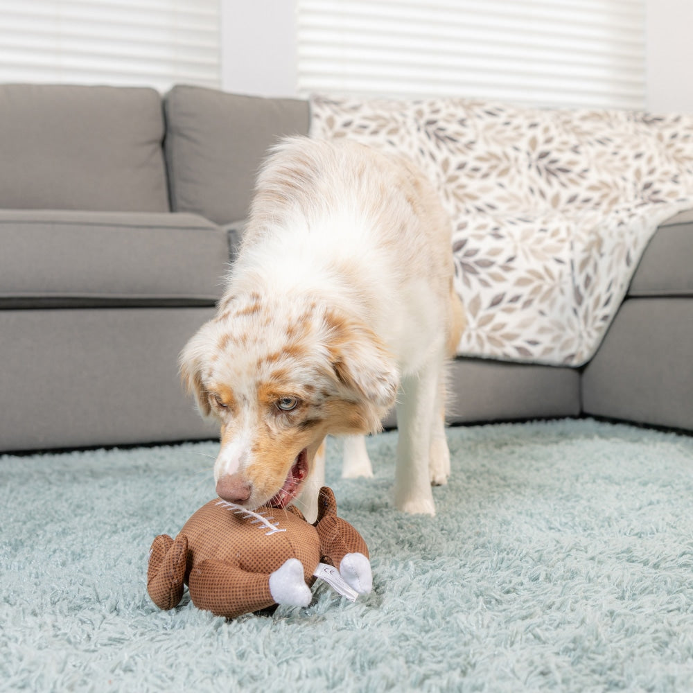 Turkey Bowl Dog Toy