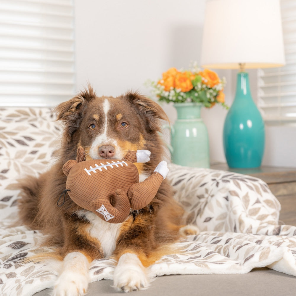 Turkey Bowl Dog Toy