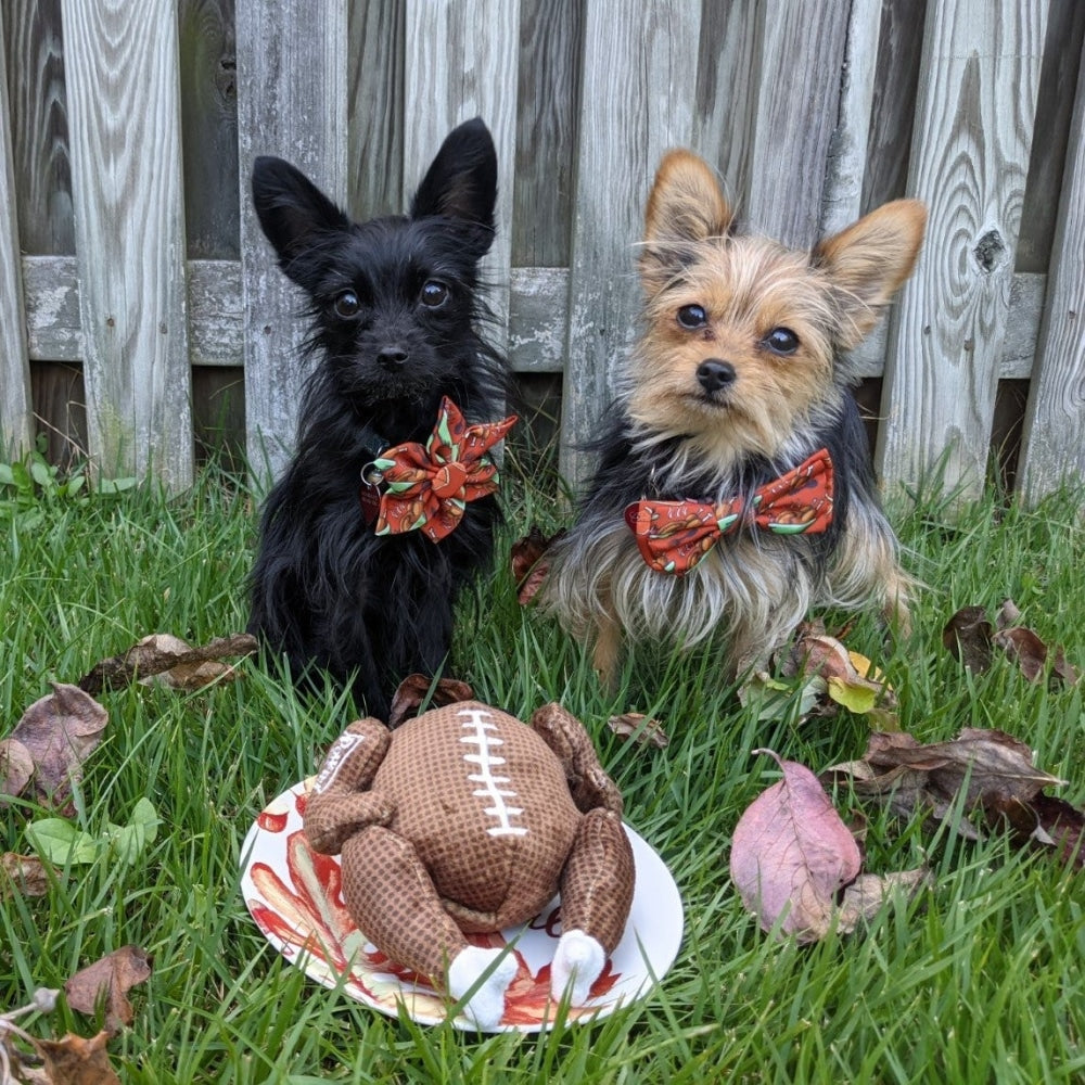 Turkey Bowl Dog Toy