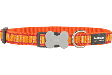 Buckle Bone Dog Collars - Design - LotzaDotz