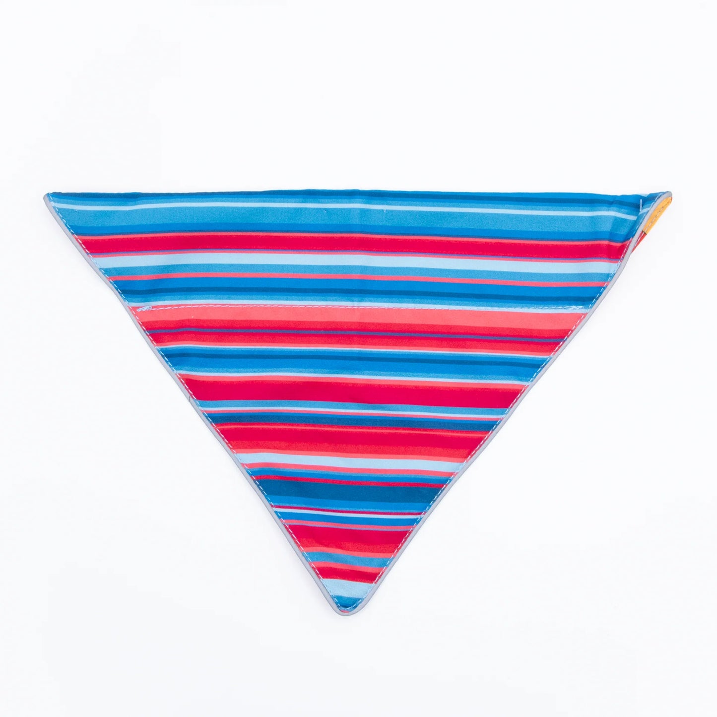 Bernie Bandana