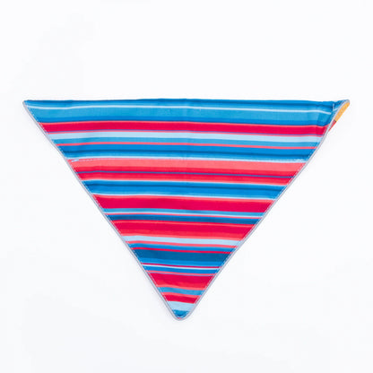 Bernie Bandana