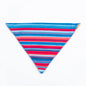 Bernie Bandana