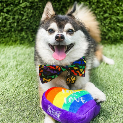 Unity Bow Tie - 30% Off