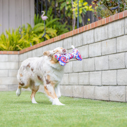 USA Pup Bone Dog Toy - 30% Off
