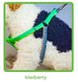 Dog Harness- Haight Ashberry Reflective