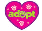 Single Decal (Pack of 8)