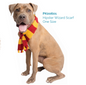 Hipster Wizard Scarf