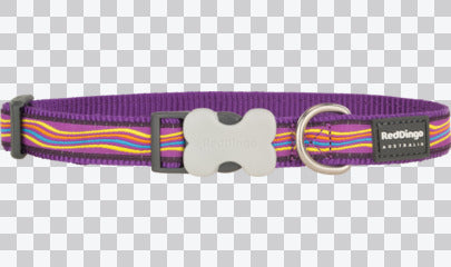 Buckle Bone Dog Collars - Design - Dreamstream