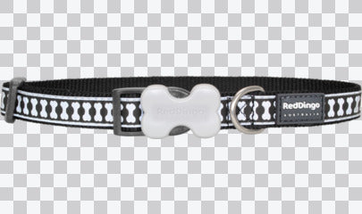 Buckle Bone Dog Collars - Reflective