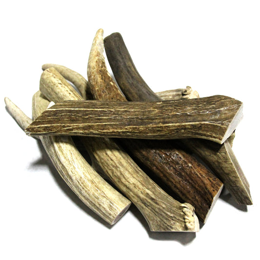 Elk Antler - Medium Whole- EACH