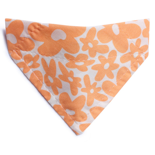 The Wild Child - Cat Bandana