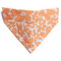 The Wild Child - Cat Bandana