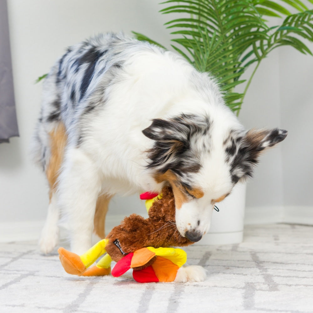 Slappies® Wishbone Turkey Dog Toy