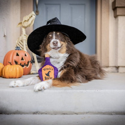 Witch's Brew Dog Toy - 30% Off