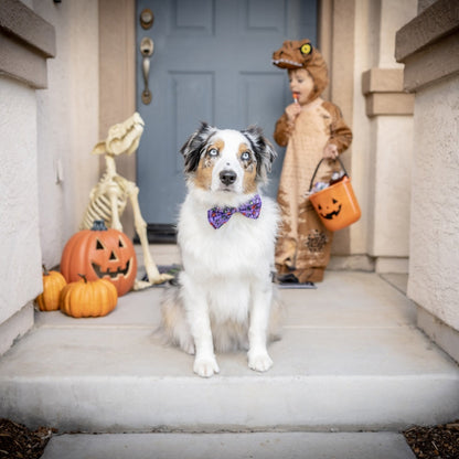 Witch's Brew Bow Tie - 30% Off