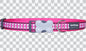 Buckle Bone Dog Collars - Reflective