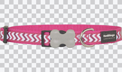 Buckle Bone Dog Collars - Reflective