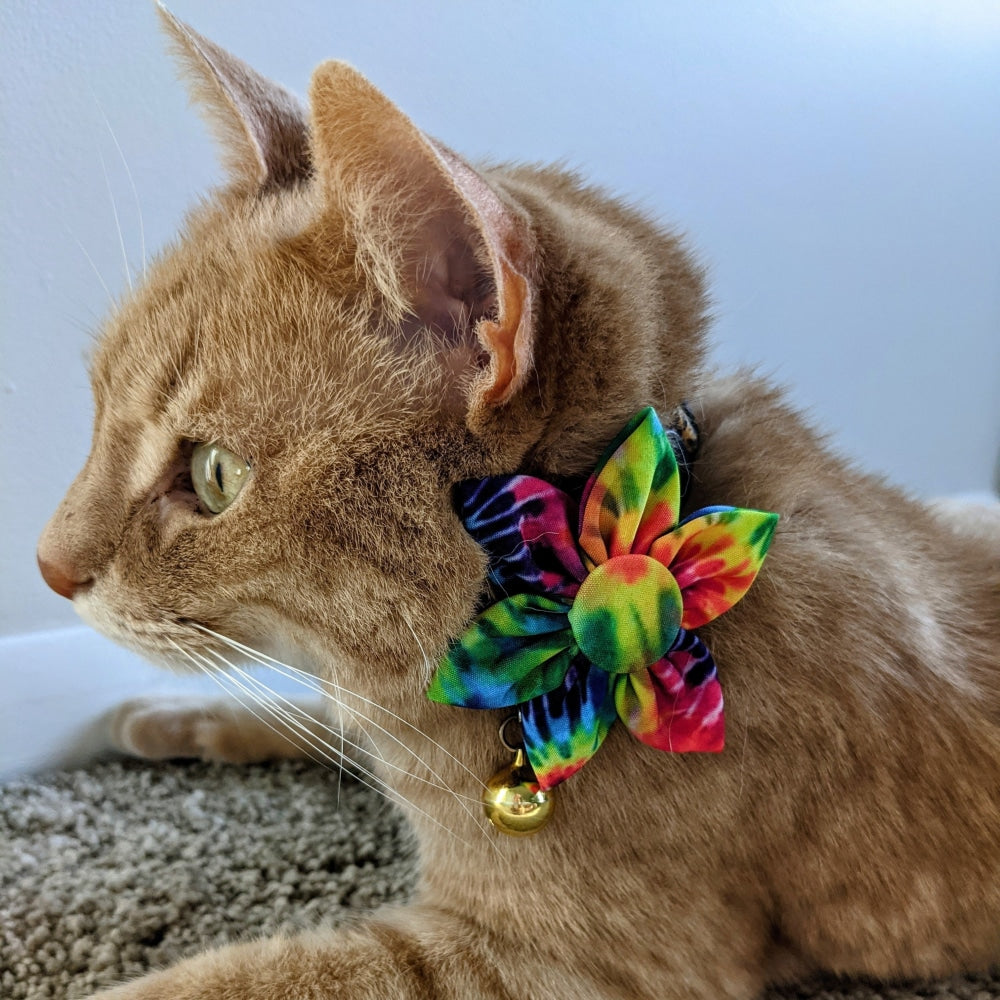 Woodstock Pinwheel