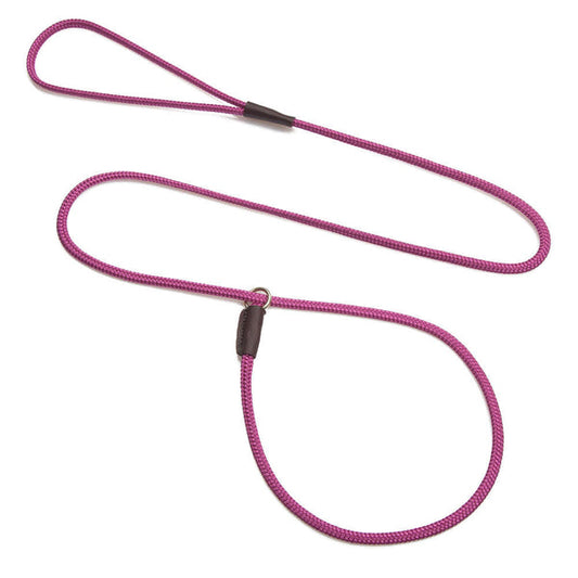 Slip Show Leads/Leashes