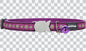 Cat Collars - Design - Daisy Chain