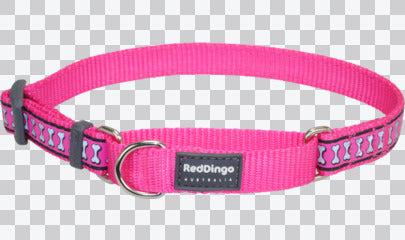 Martingale Dog Collars - Reflective
