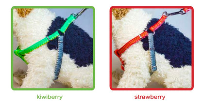 Dog Harness- Haight Ashberry Reflective